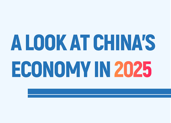 A look at China's economy in 2025