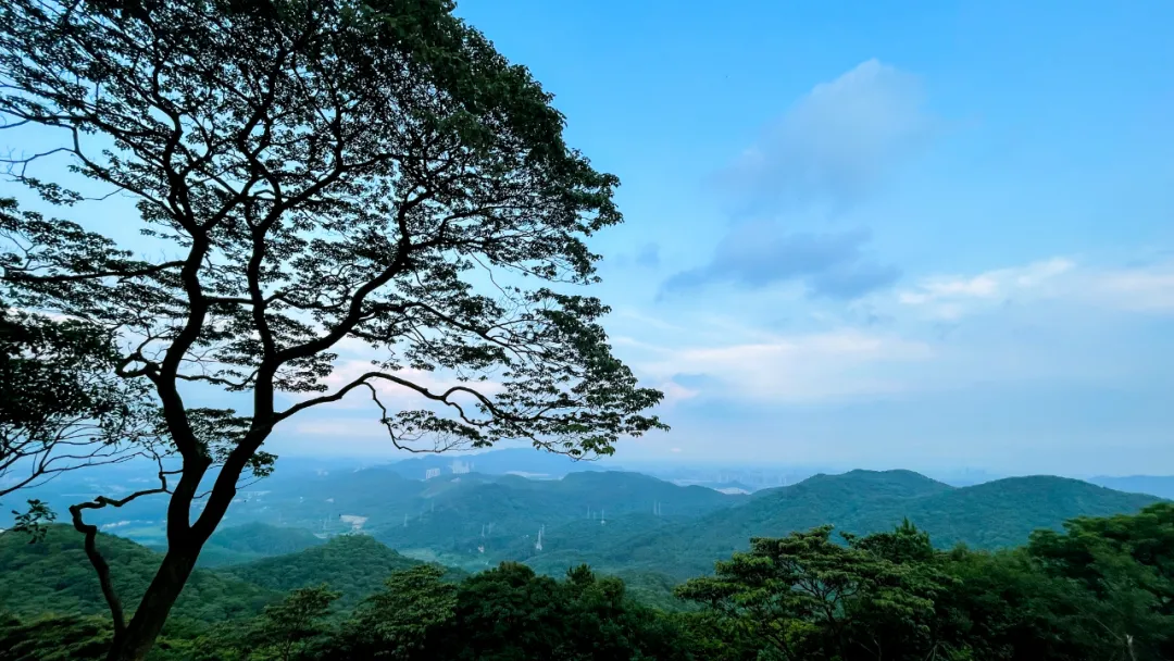 1738898933268019630.png clipbord_1738898721977.png