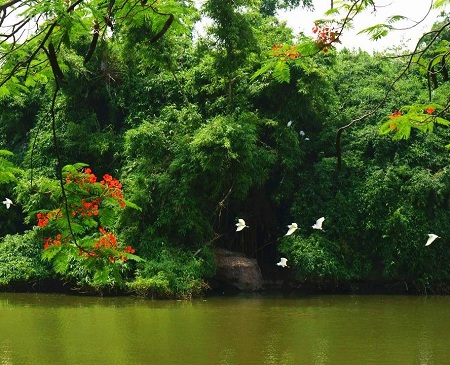 Zhongshan Park (Birds' Paradise)