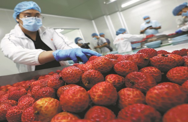 Lychee freshness sees quantum leap