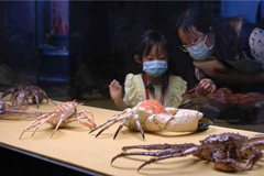 Crab, shrimp, lobster form heart of Guangdong exhibition