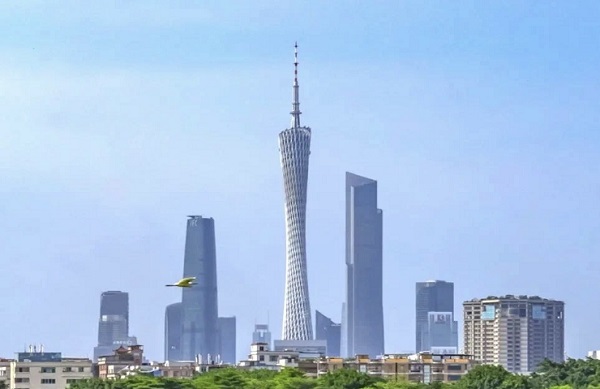 6 Guangzhou companies secure spots on 2024 Fortune Global 500 list