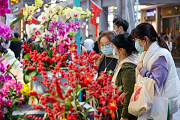 Guangzhou Spring Festival flower fair kicks off