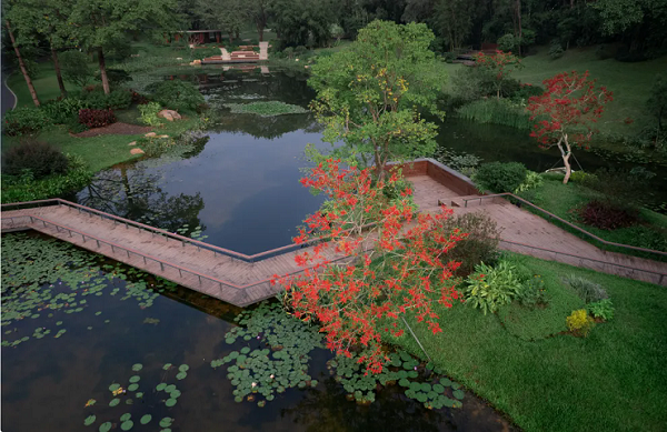 Yunxi Botanical Garden opens in Guangzhou