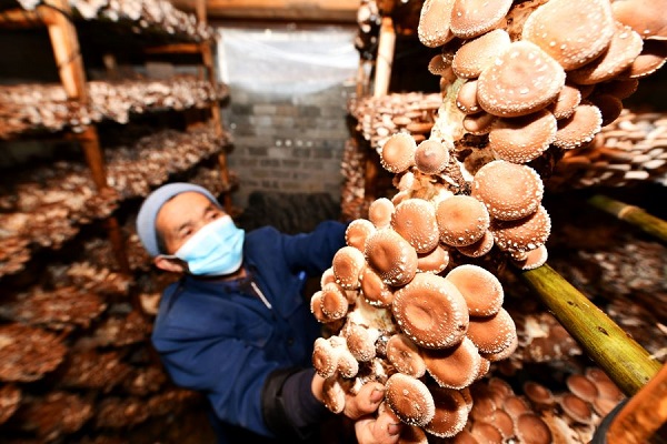 1589253914022046089.jpeg 5eb8ad6ba310a8b2fa44c8ff.jpeg