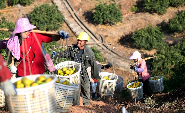 1589514407693093108.jpeg 5ebdff6aa310a8b2fa468866.jpeg