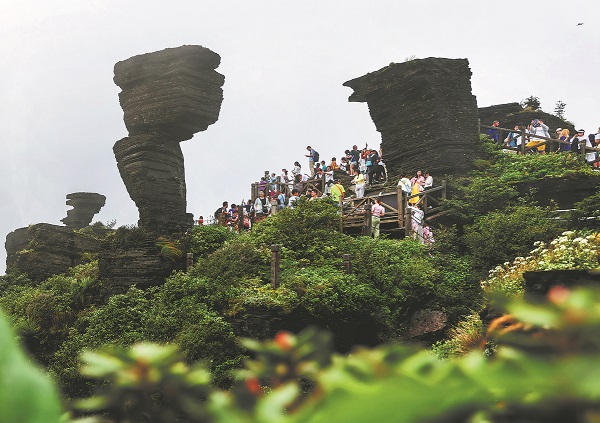 Guizhou's Mount Fanjing National Nature Reserve listed on IUCN's green list