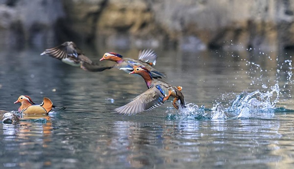 1765528917494079033.jpeg 1 - 副本.jpeg