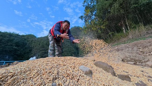 1765528925791045477.jpeg 2.jpeg