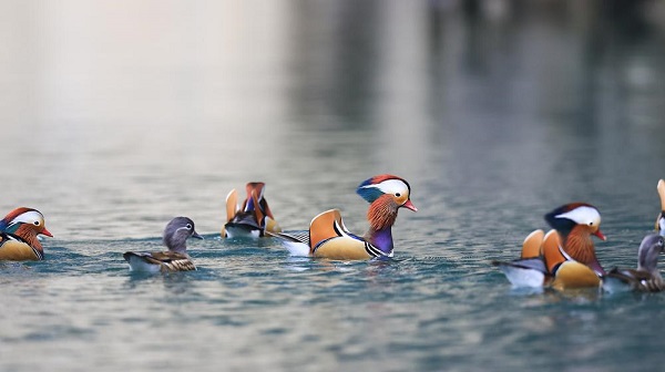 1765528936705072352.jpeg 3 - 副本.jpeg