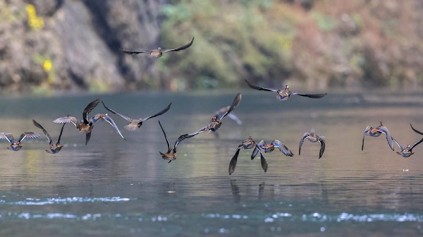 1765528947602071493.jpeg 4 - 副本.jpeg