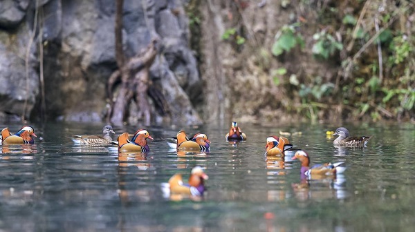 1765528955919023053.jpeg 5 - 副本.jpeg