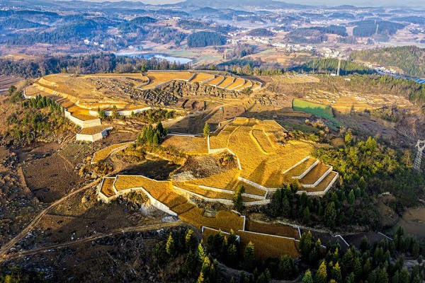 1766627877566092960.jpeg 1 - 副本.jpeg