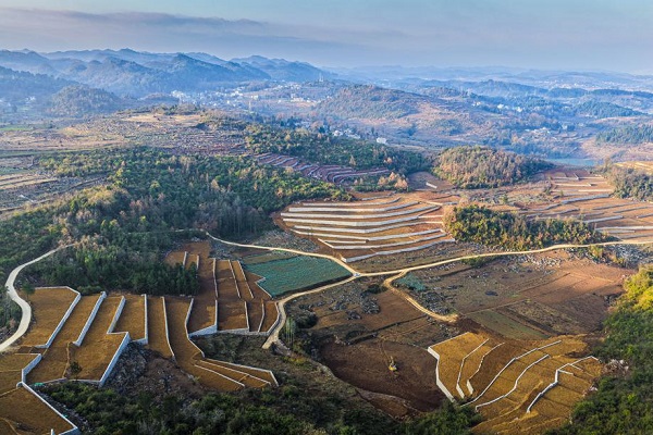 1766627886670080502.jpeg 2 - 副本.jpeg