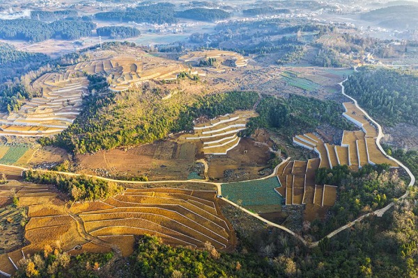 1766627895381085946.jpeg 3 - 副本.jpeg