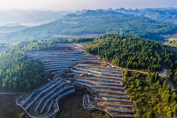 1766627904143048681.jpeg 4 - 副本.jpeg