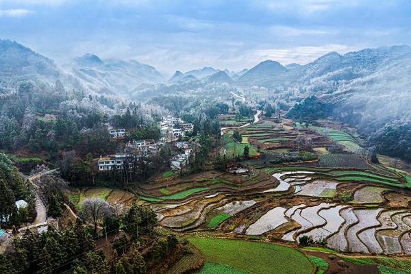 1768208403570020429.jpeg 1 - 副本.jpeg