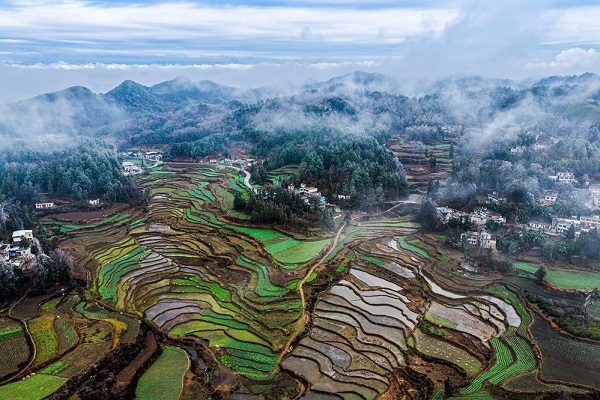 1768208522358013649.jpeg 3 - 副本.jpeg