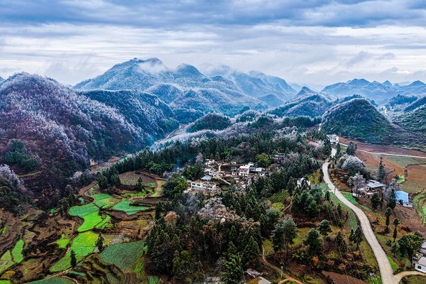 1768208530402085140.jpeg 4 - 副本.jpeg