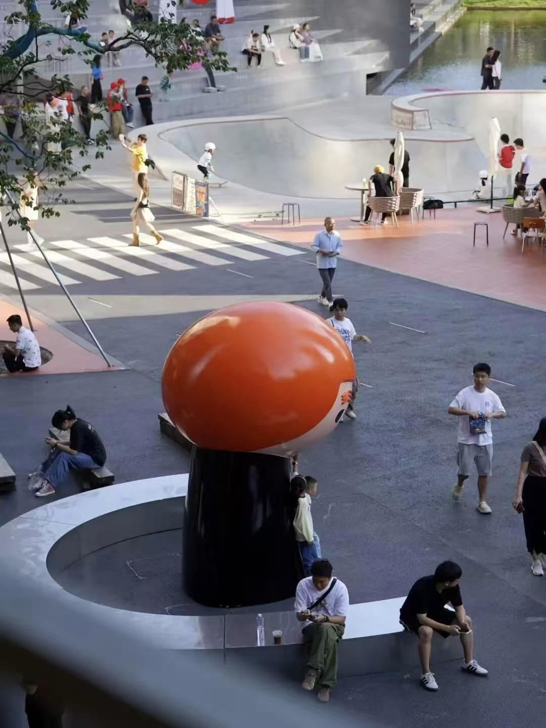 1769496155855056701.jpg 1769496155855056701.jpg