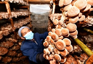 5eb8ad6ba310a8b2fa44c8ff - 副本.jpeg