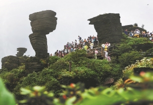 Guizhou's Mount Fanjing National Nature Reserve listed on IUCN's green list