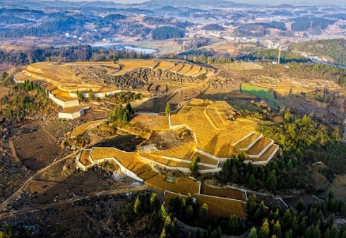 1 - 副本_副本.jpg