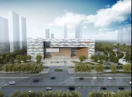 1549099219419049430.jpg 55.jpg