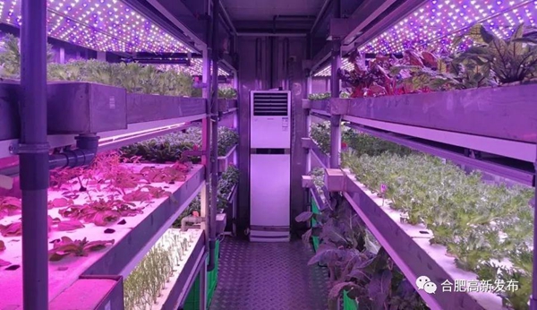 1552986685661073494.jpg 19.jpg