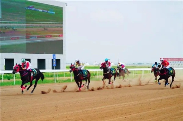 1748945289317031660.jpg 640 (4).jpg