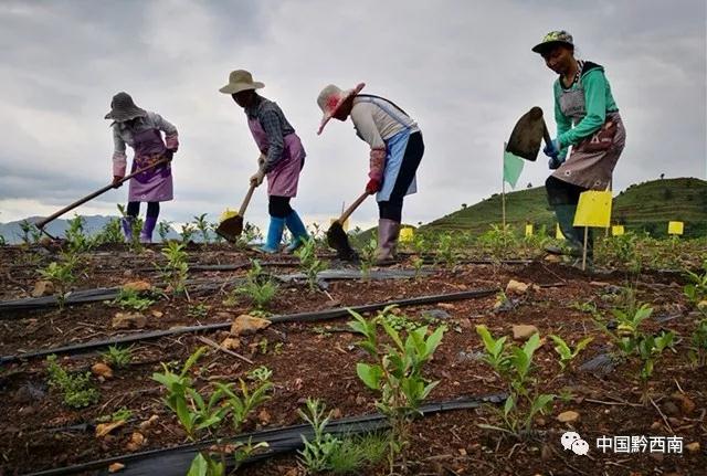 1651896688742056649.jpg 13.jpg