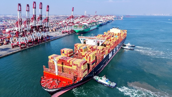 A look at China's economic data in H1