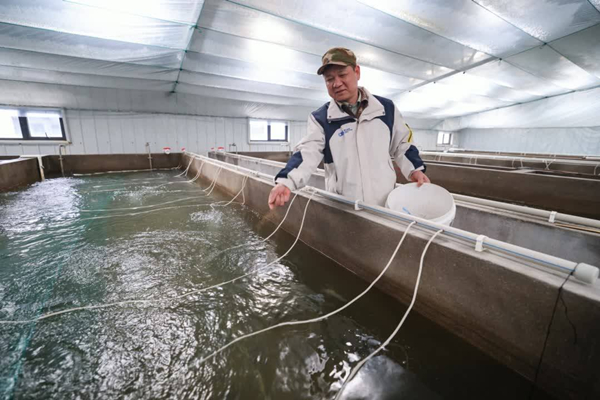 Digitalization fuels aquaculture growth in Deqing
