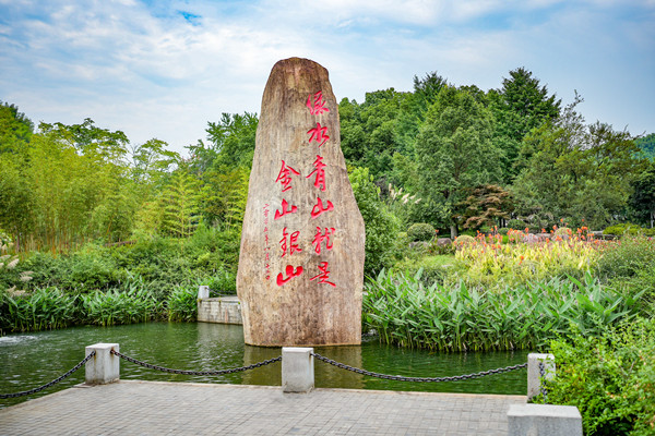 Xi's ecological vision provides global solutions