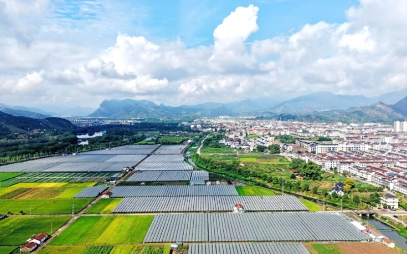 China's green development inspires global cooperation