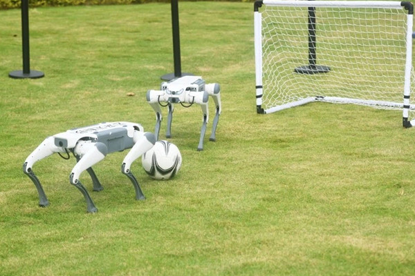 Zhejiang reports $69b in AI revenue at Wuzhen Summit