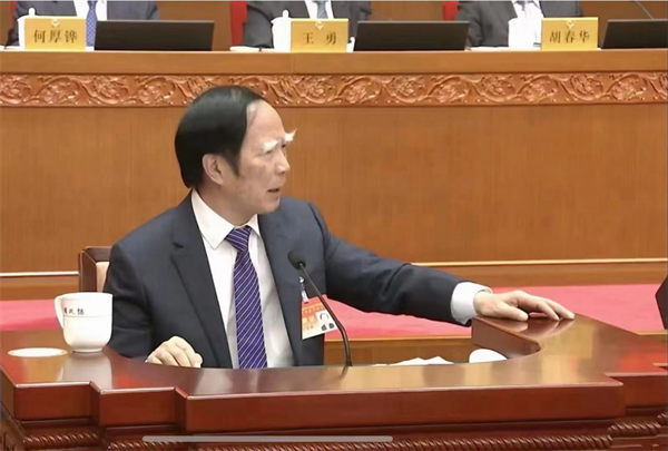 ICA vice president delivers academic lecture after the fourth session of the CPPCC National Committee