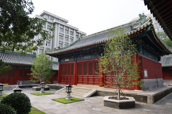 ICA recognized as a top national 5A-level social organization