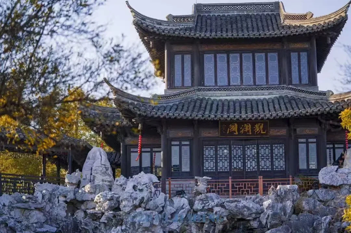 1767179075570038705.jpg 图片6.jpg