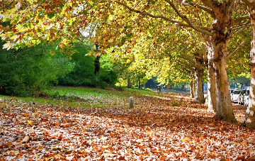 Taizhou zone turns into poetic world in early winter