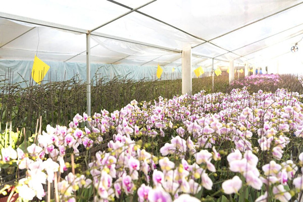 1767686422003070192.jpg 600.jpg