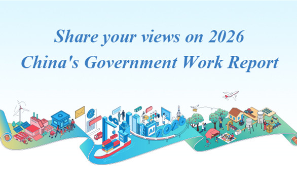 Share your views on 2026 China's Government Work Report