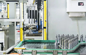 Hailing Industrial Park secures 10 provincial SRDI SMEs