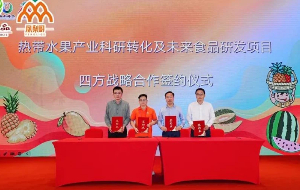 Taixing zone helps tropical fresh fruits seize market in health food industry