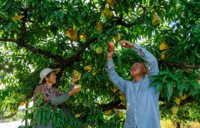 1753173538373056521.jpg 0.jpg