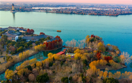 Explore winter beauty of Jiangyan's Qinhu Lake Wetland Park