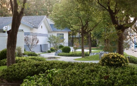 Pocket parks enrich urban life in Jiangyan 