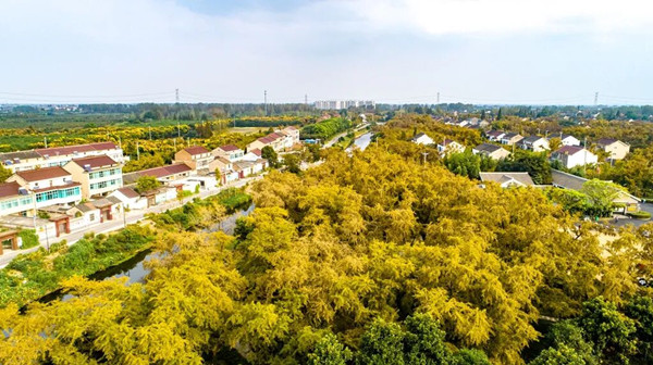 1764930593411034809.jpg 600.jpg