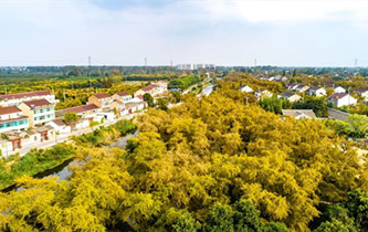 Taixing unlocks green wealth for rural vitalization