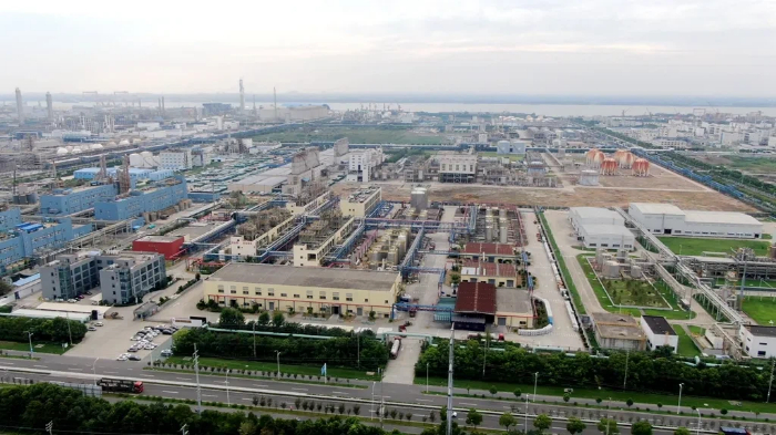 1762823970059060598.jpg 345436456.jpg